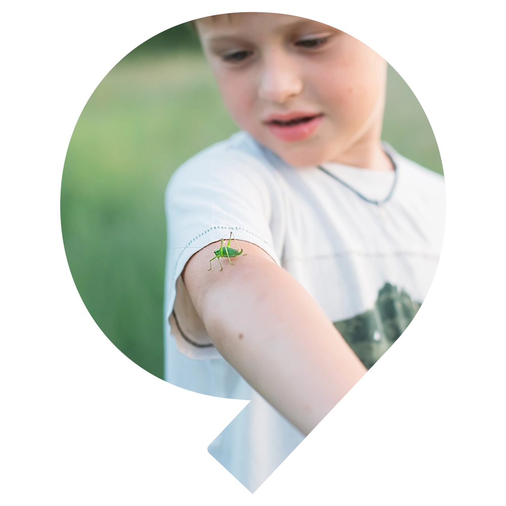 Insect sting allergy - Snö Wellness | Abu Dhabi