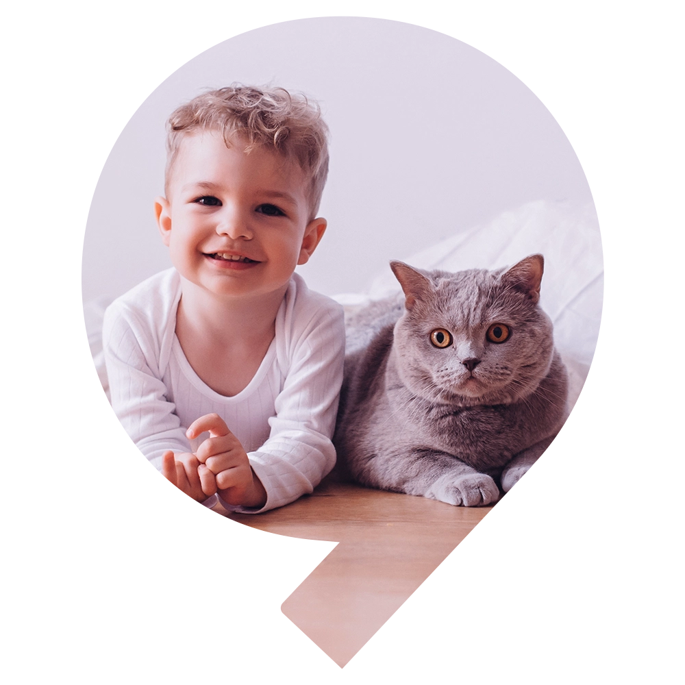 sno pet allergy - Snö Wellness | Abu Dhabi